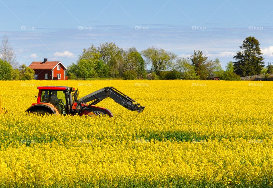 A tractor in a field