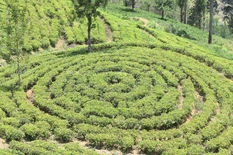 Circle of life ⭕🤣