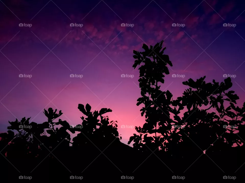 sunset