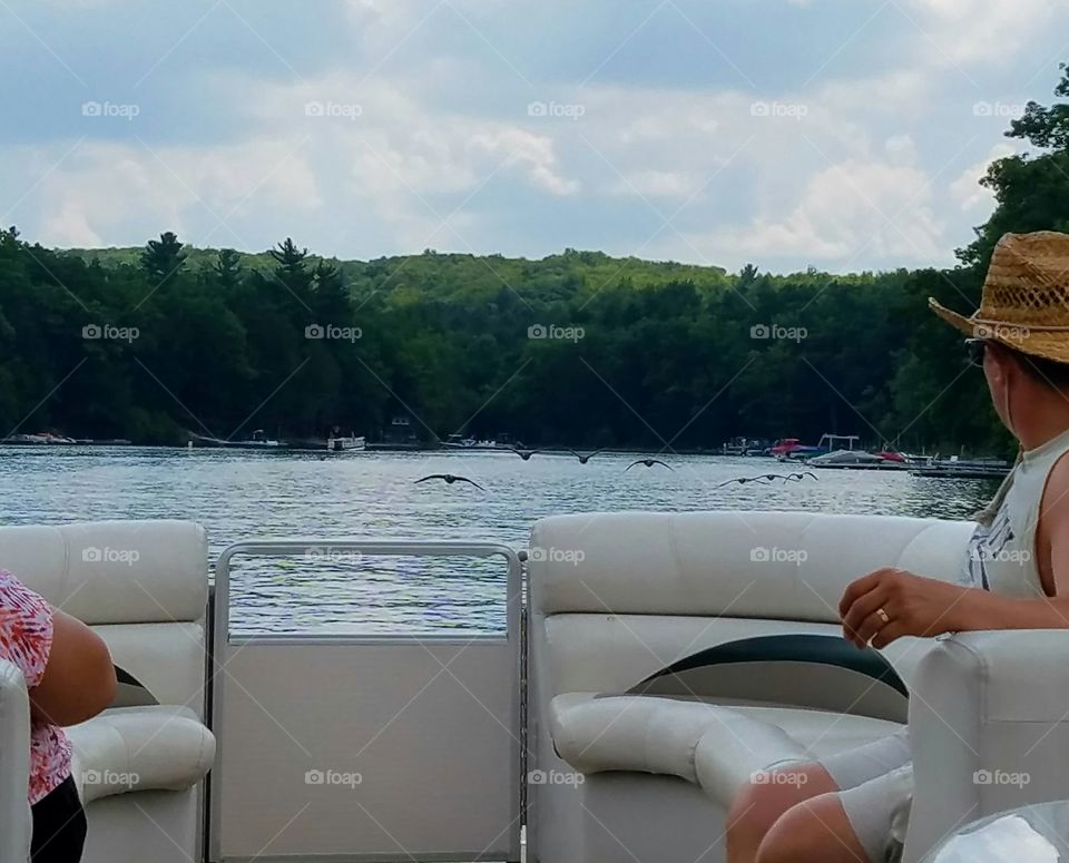 Geese flying at us while on the boat on Deep Creek Lake