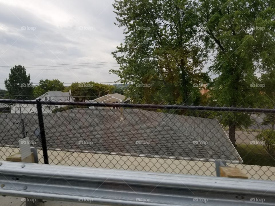 Fence, Tree, Environment, No Person, Wood