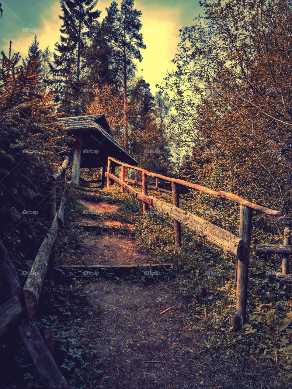 Stairs to a fairytale.