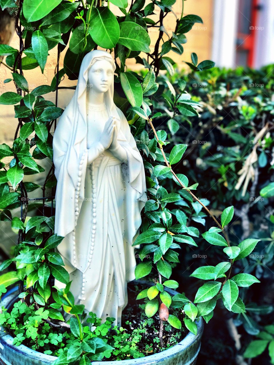 iPhone 7 Plus Depth Effect 10/31/16 #iPhone7 #iphone7plus #deptheffect #depth #boca #LA #CA #USA #LOSANGELES #BEVERLYHILLS