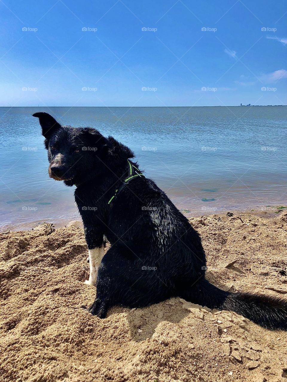 Entspannungspäuschen 🙌🏻