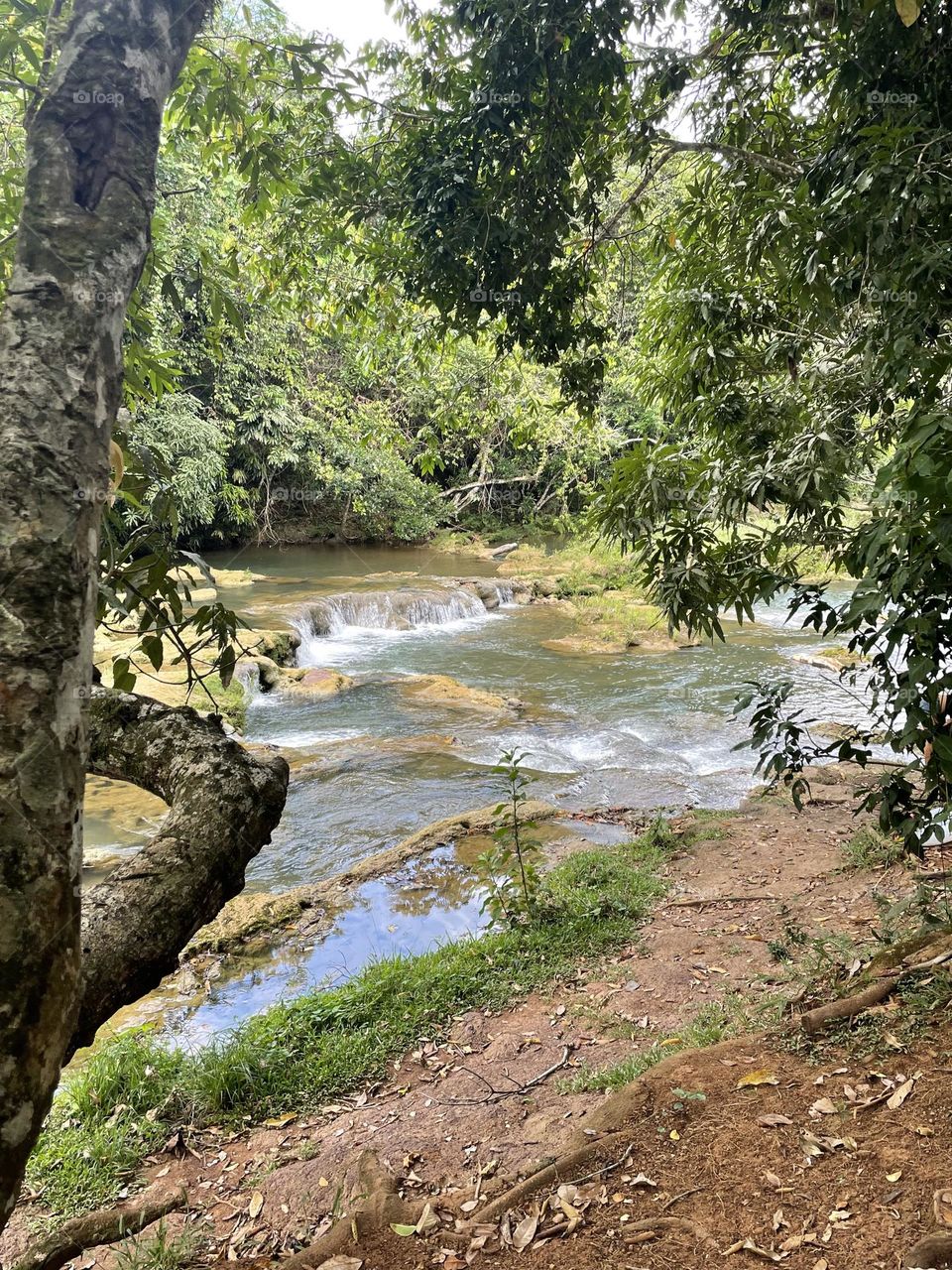 Nice River in DR