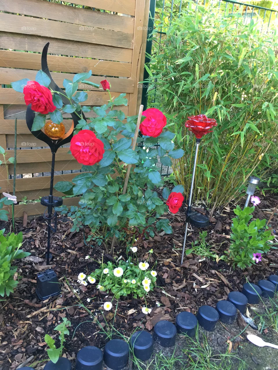 Blumen 