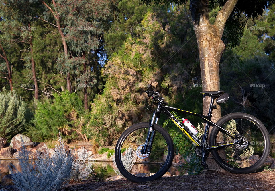 Sunset bicycle ride