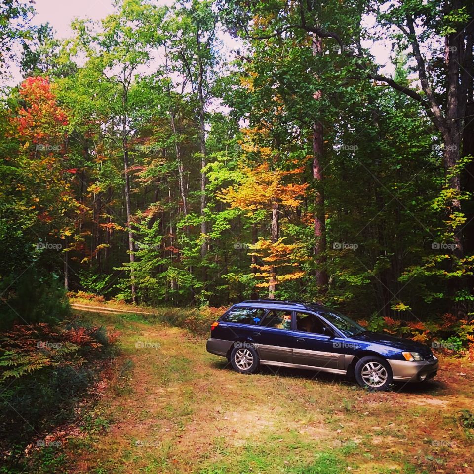 Two tracking Subaru 