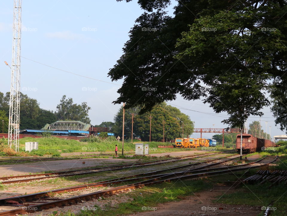 railway wagon backyard