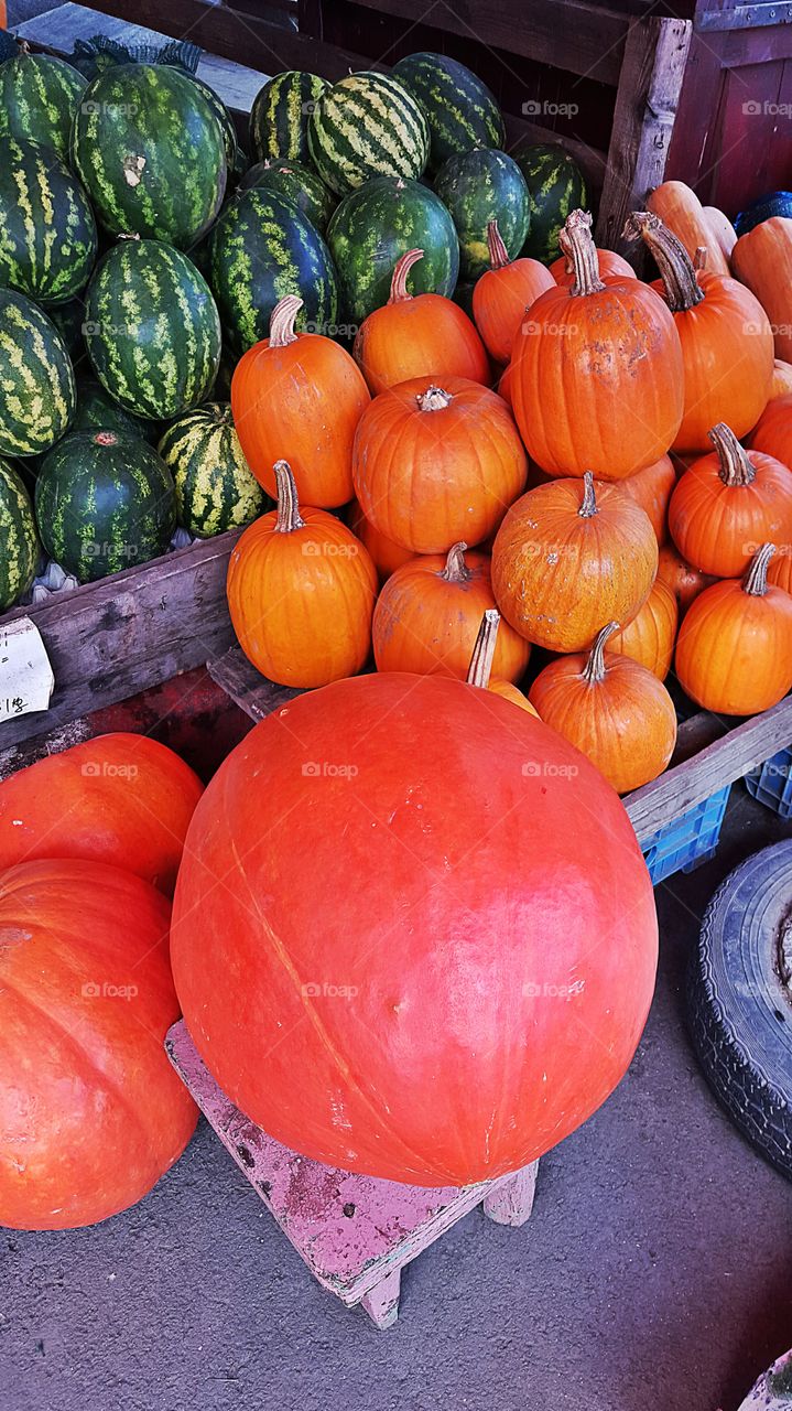 Pumpkin market