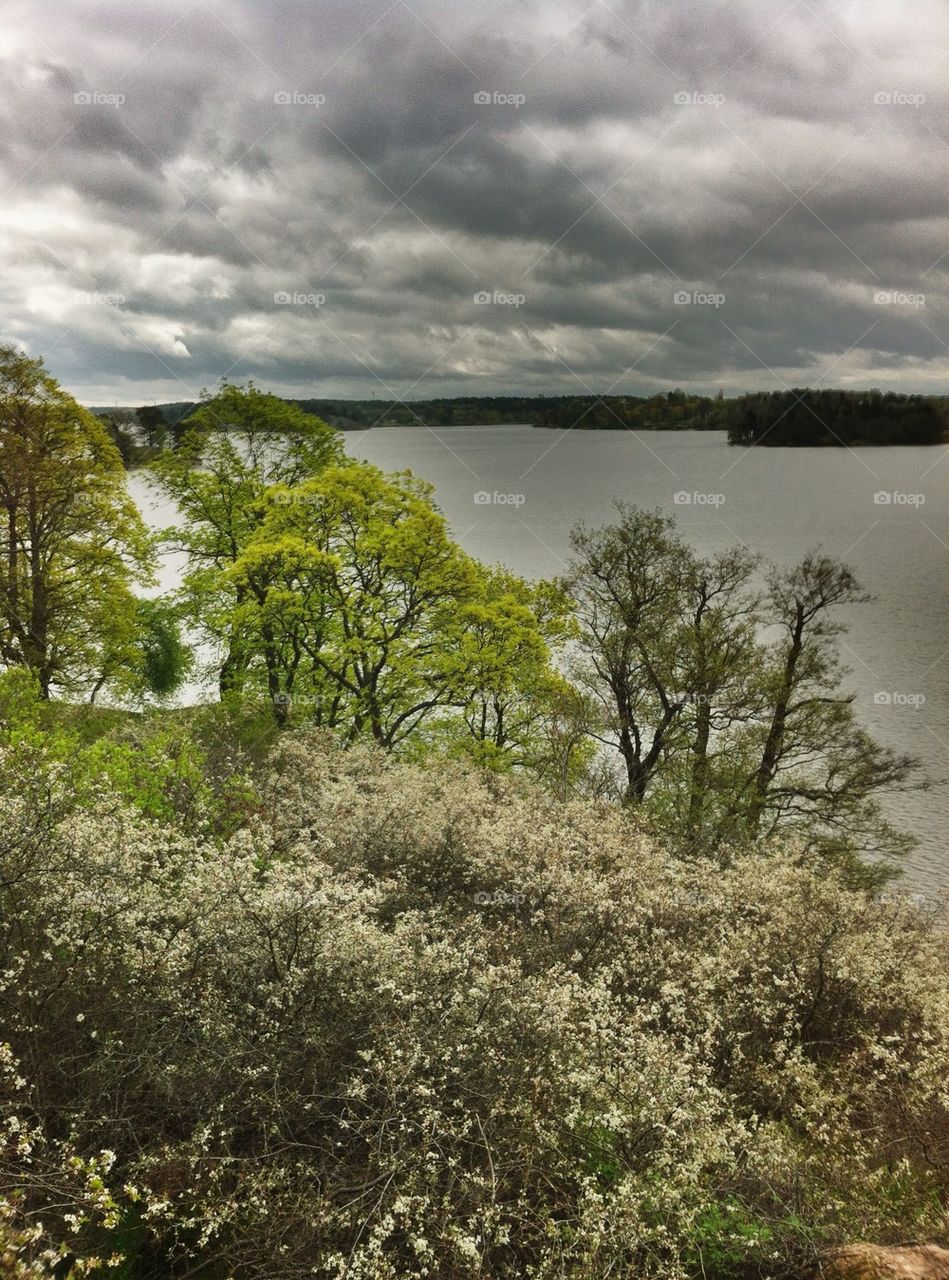 landscape sky spring nature by miss_falcon