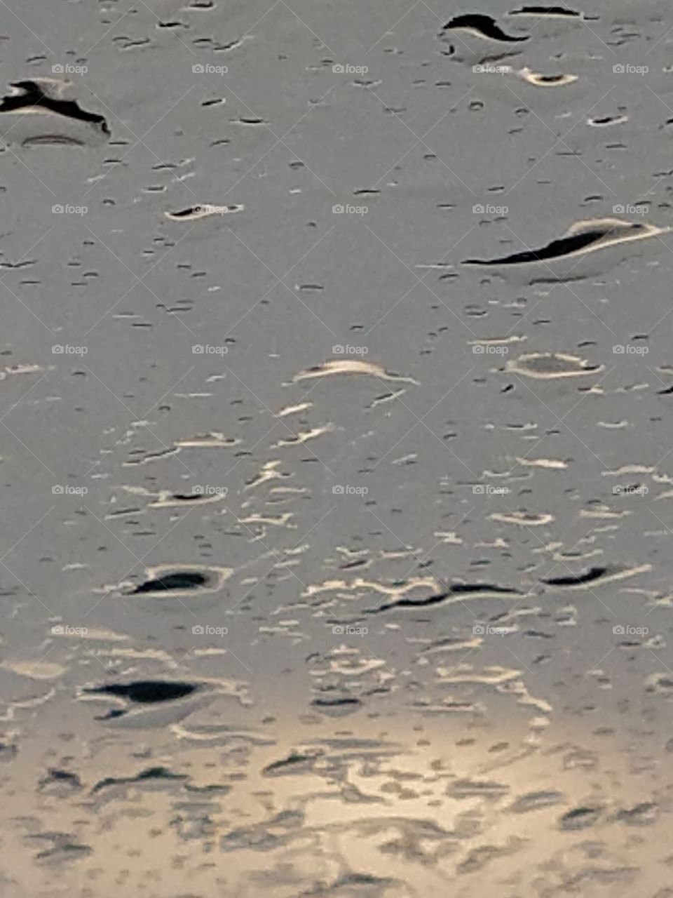 Raindrops on the Windshield