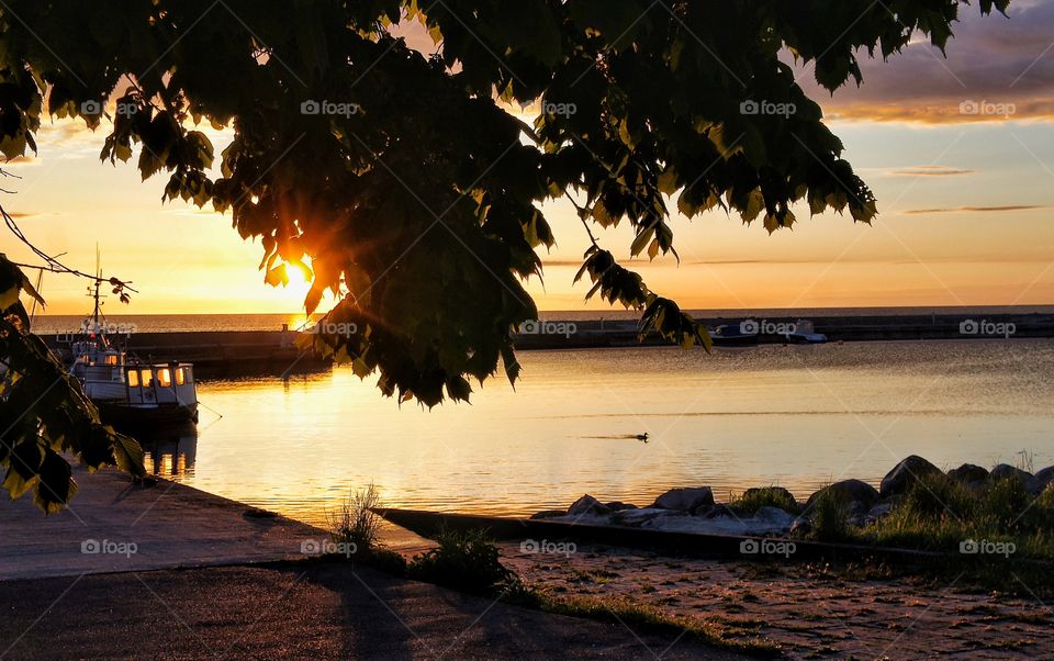 Sunrise in the harbour