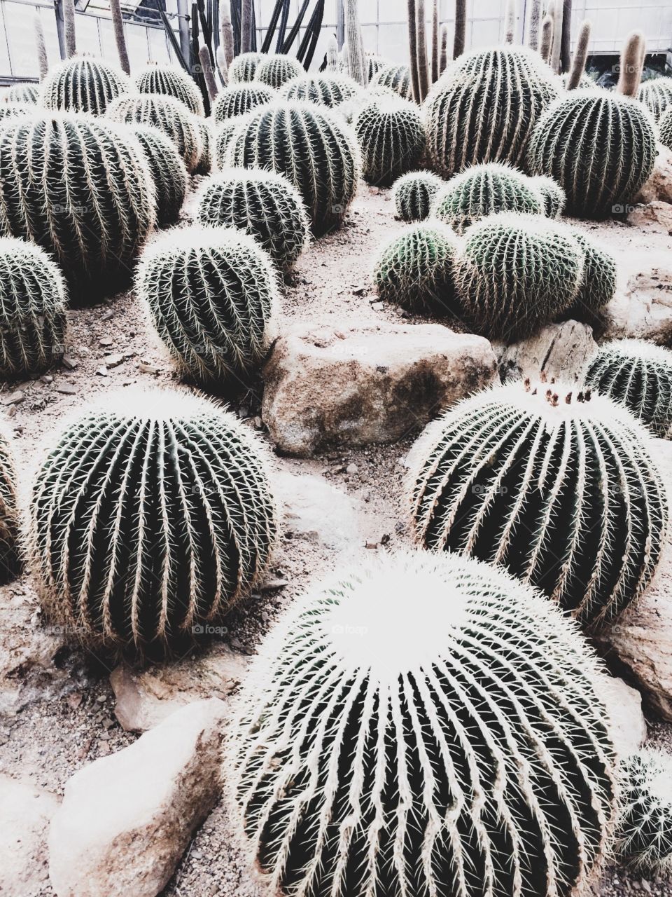 It’s you road, and yours alone. Other may walk it with you, but no one can walk it for you.