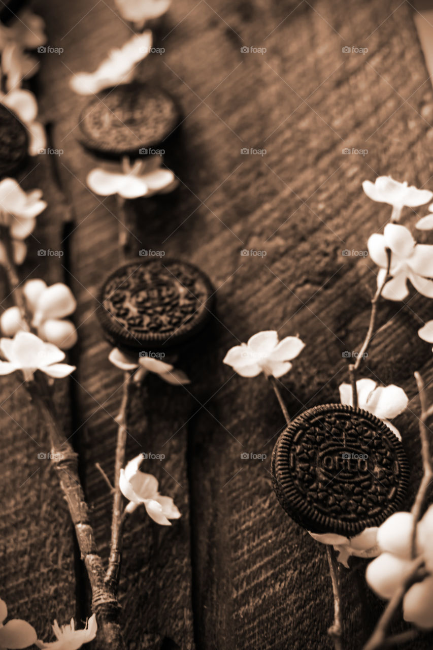 Spring cherry blossom conceptual Oreo cookie art photography 