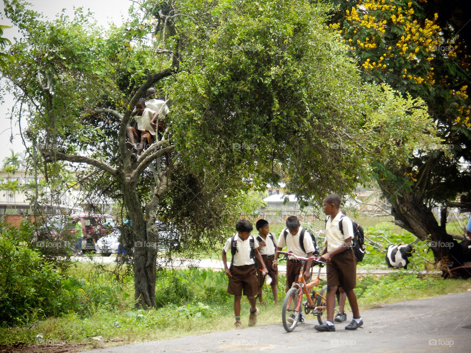 tree guyana school children by nickandemily