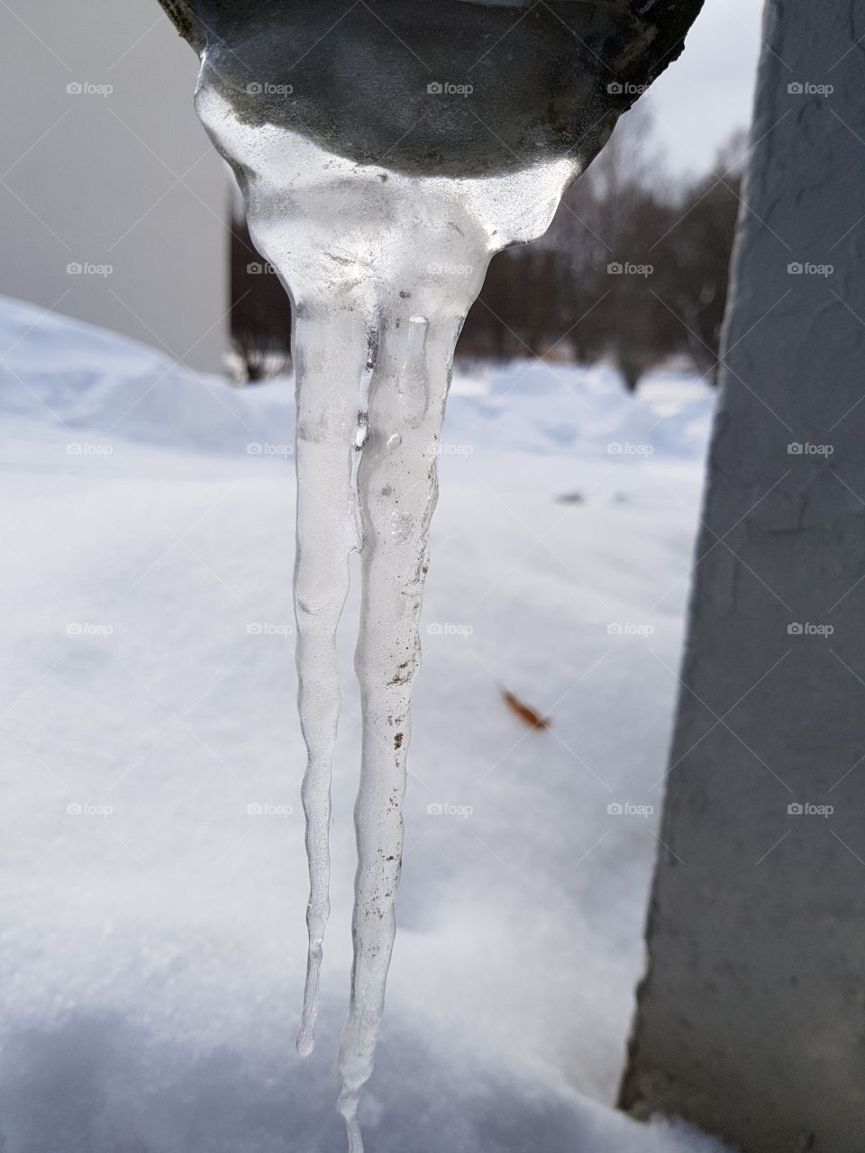 ice