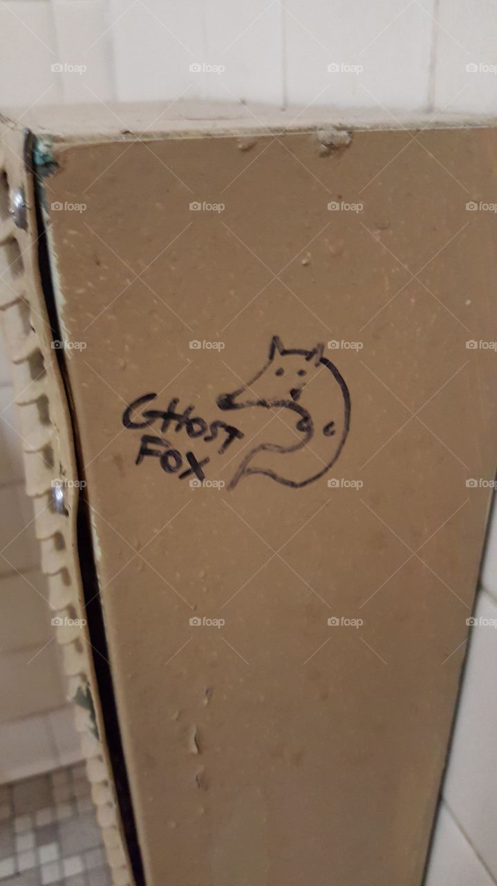 Ghost Fox Graffiti Doodle