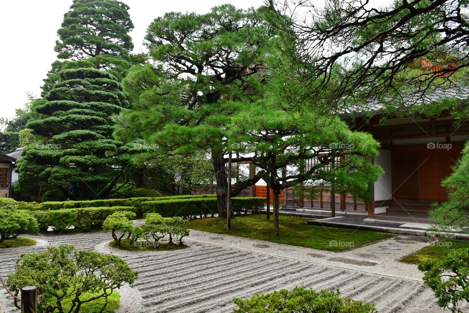 Beautiful Japanese garden