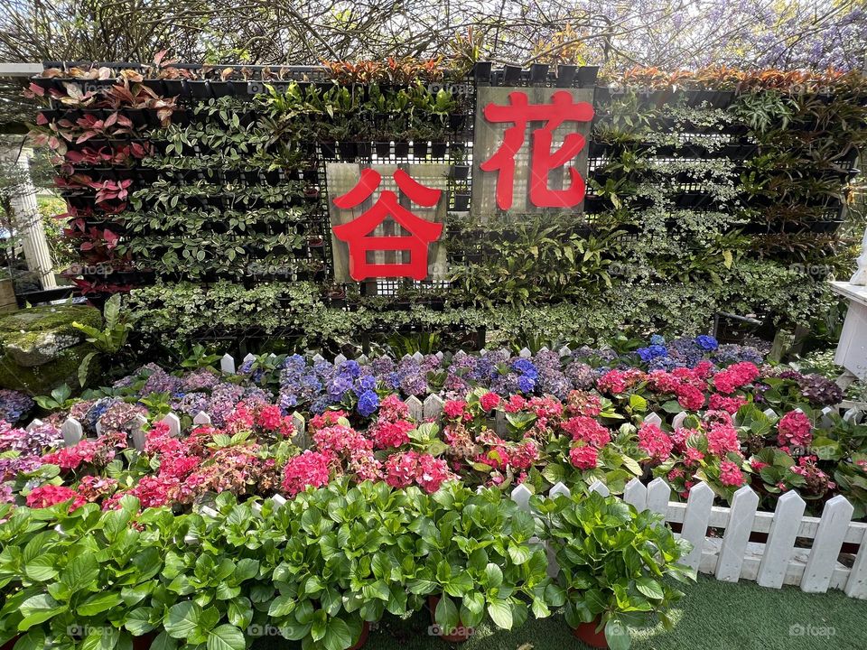 Special shop in Yang Ming Shan 