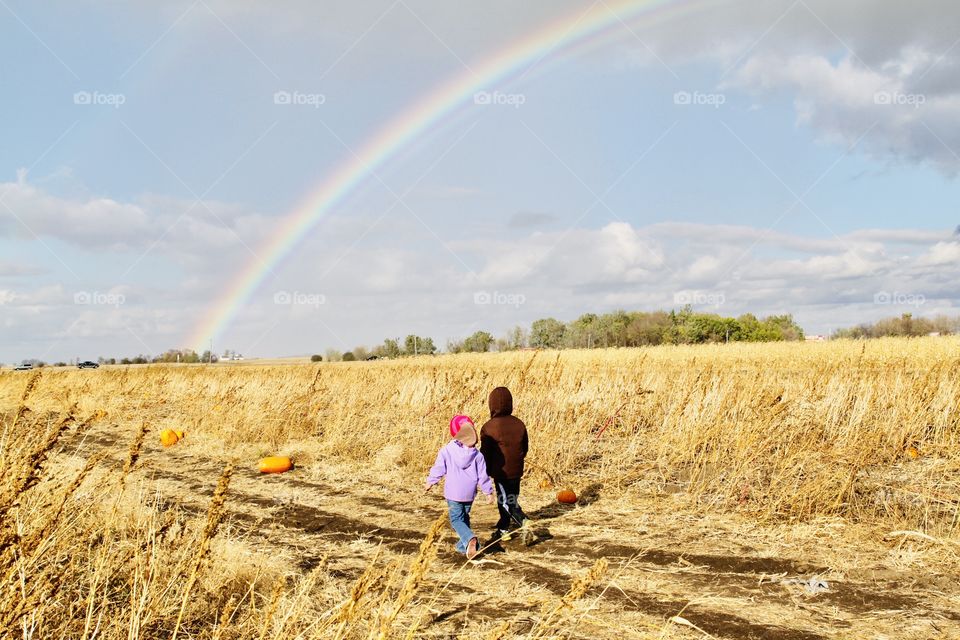 Beautiful rainbow coming down over pumpkin patch field with two young children searching for their perfect Halloween pumpkins. 