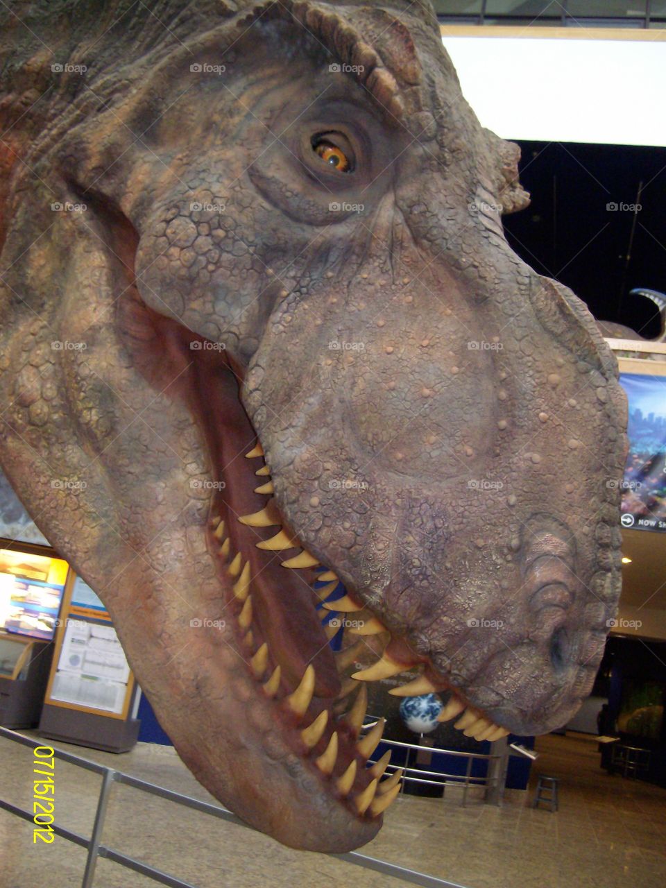Dinosaur museum 