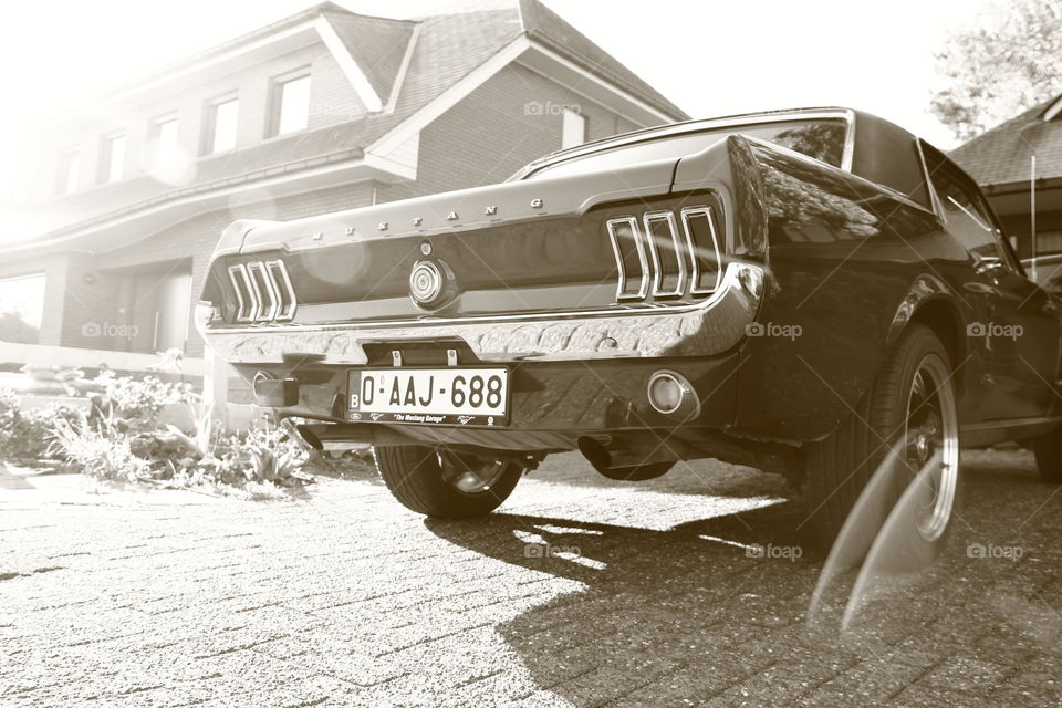 sepia old timer mustang