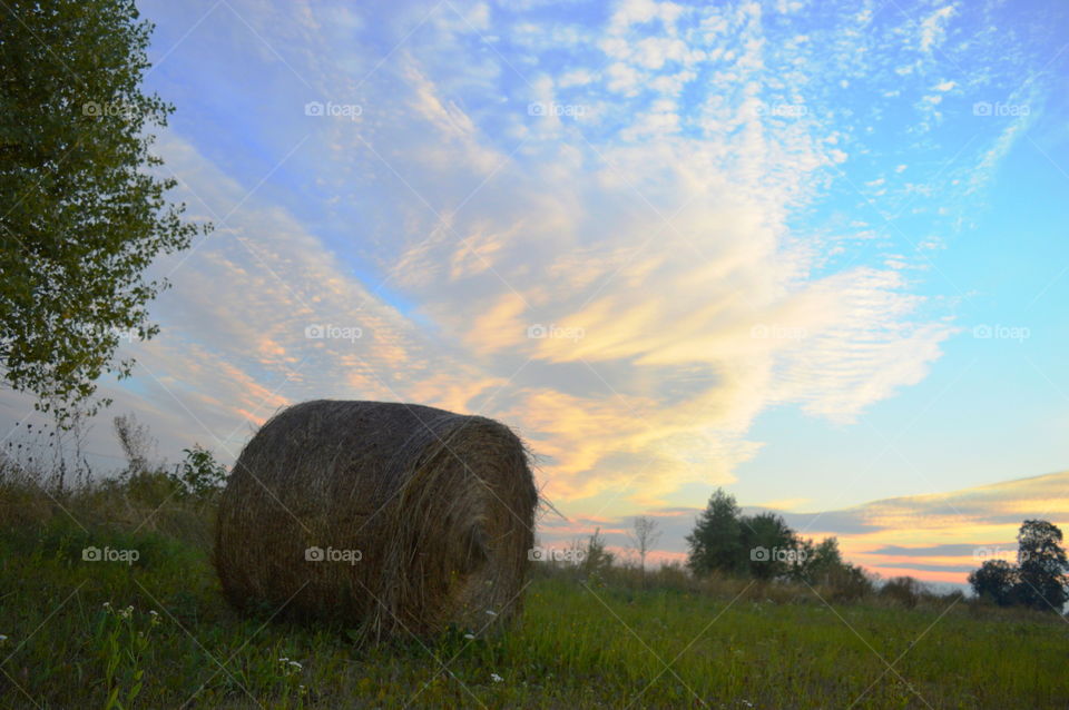 Illuminating sunrays