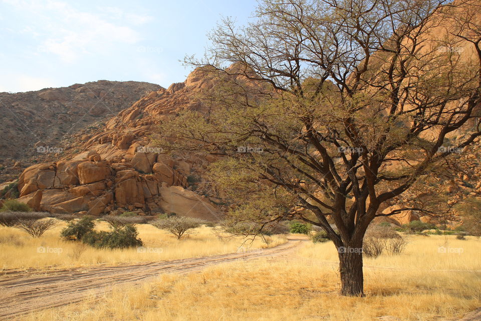 Namibian Landscape