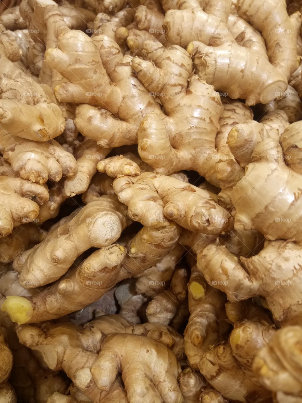 Ginger root