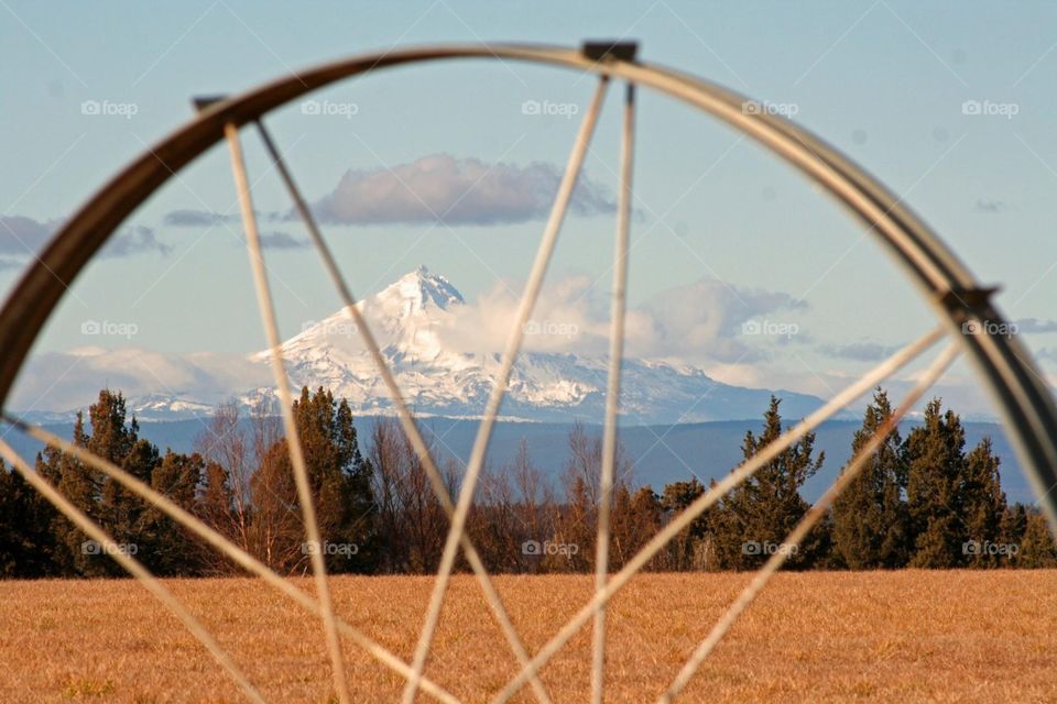 Mountain Thru The Wheel