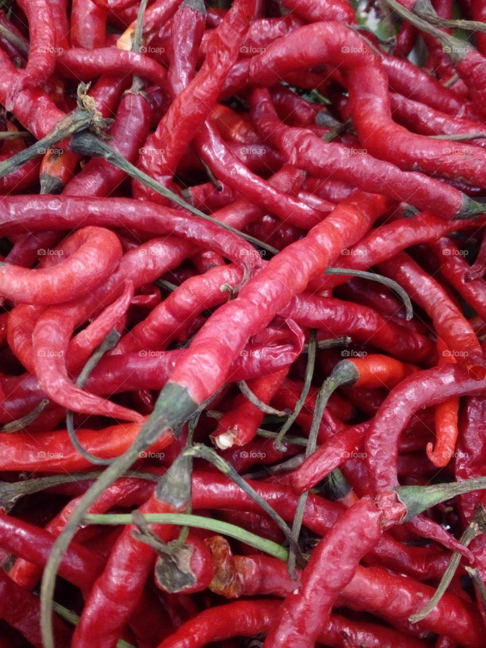 Red Chilis