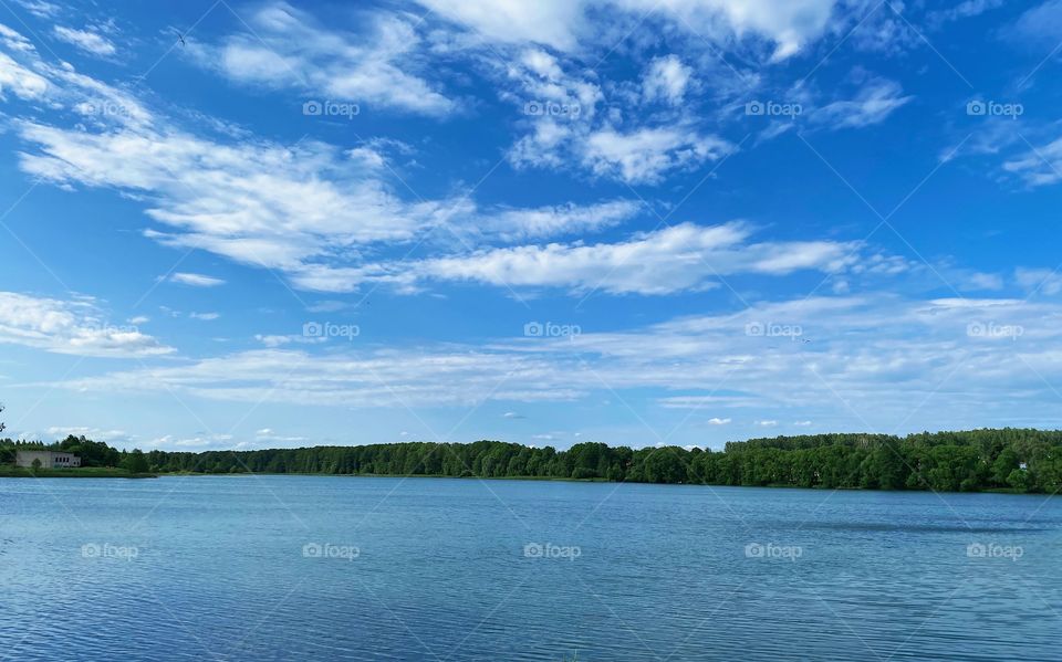 Summer day on the lake