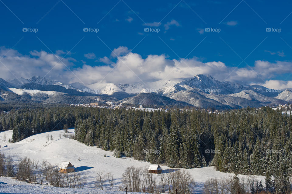 Mountain range and woodland in winter