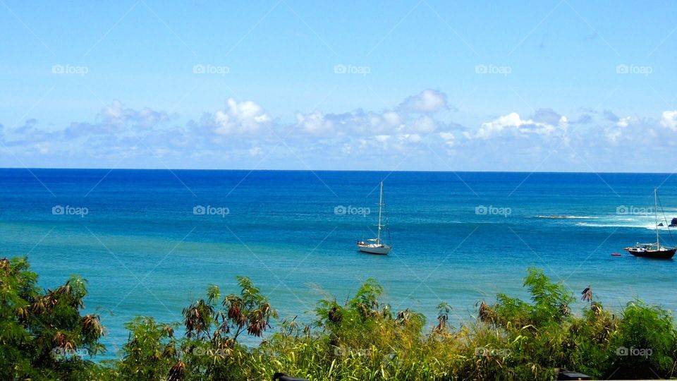 Tranquil sail. Sail boat at beach in Hawaii