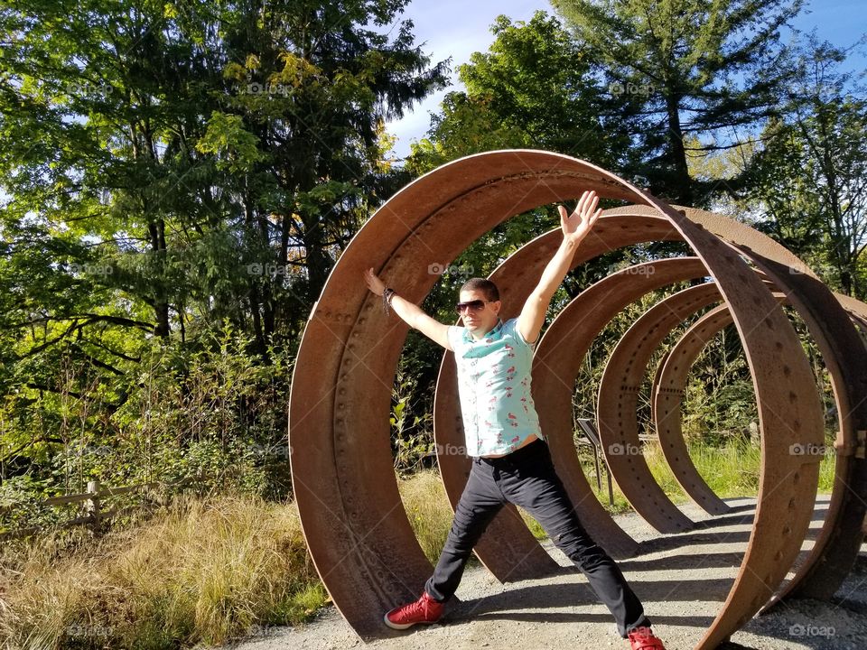 Wood, Nature, Outdoors, Summer, Tree
