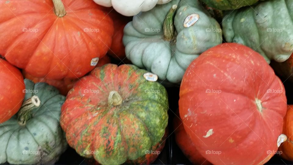 pumpkin, color and texture