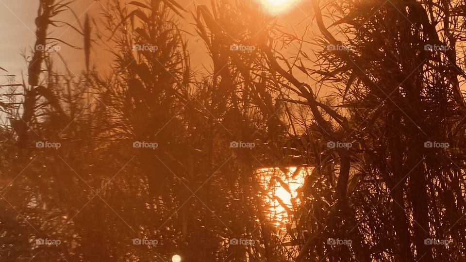 Radiant Sun due to overcast clouds that provides colors of total coverage. Providing reflections from Sky to lake waters. 