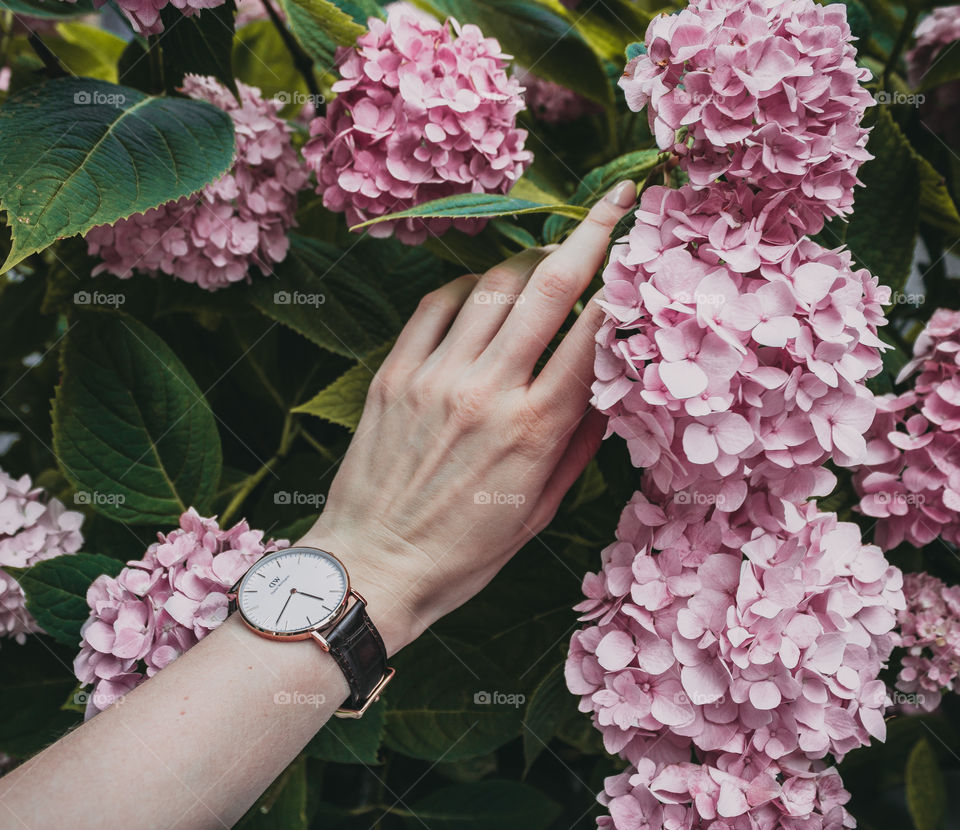 Hand with flowers 