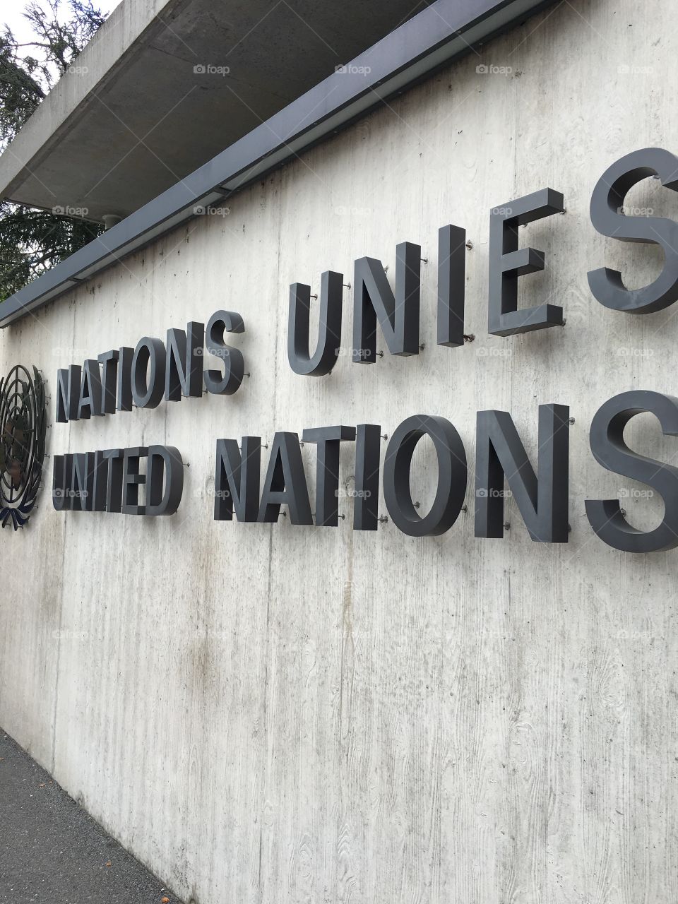 United Nations Organization 