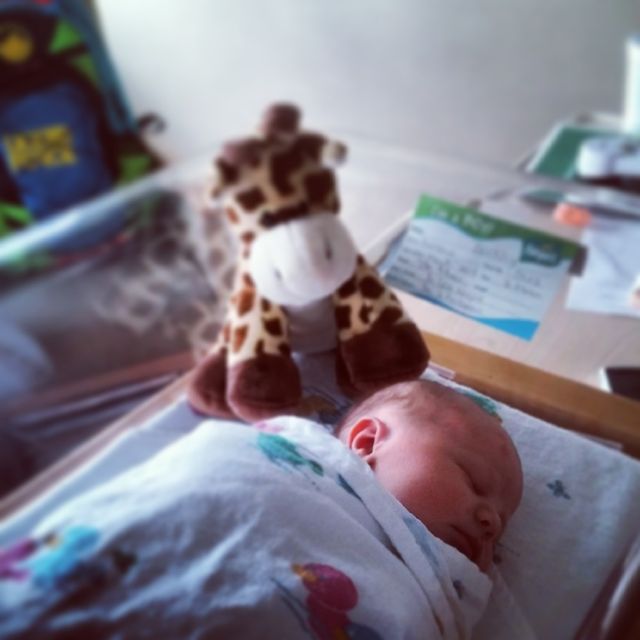 dreaming 