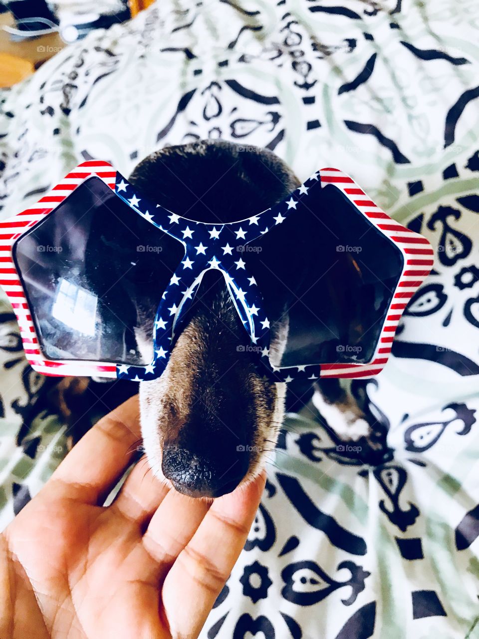 Celebrating 4th Of July 