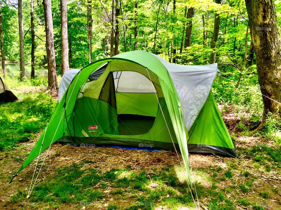 Camping tent in the woods. 