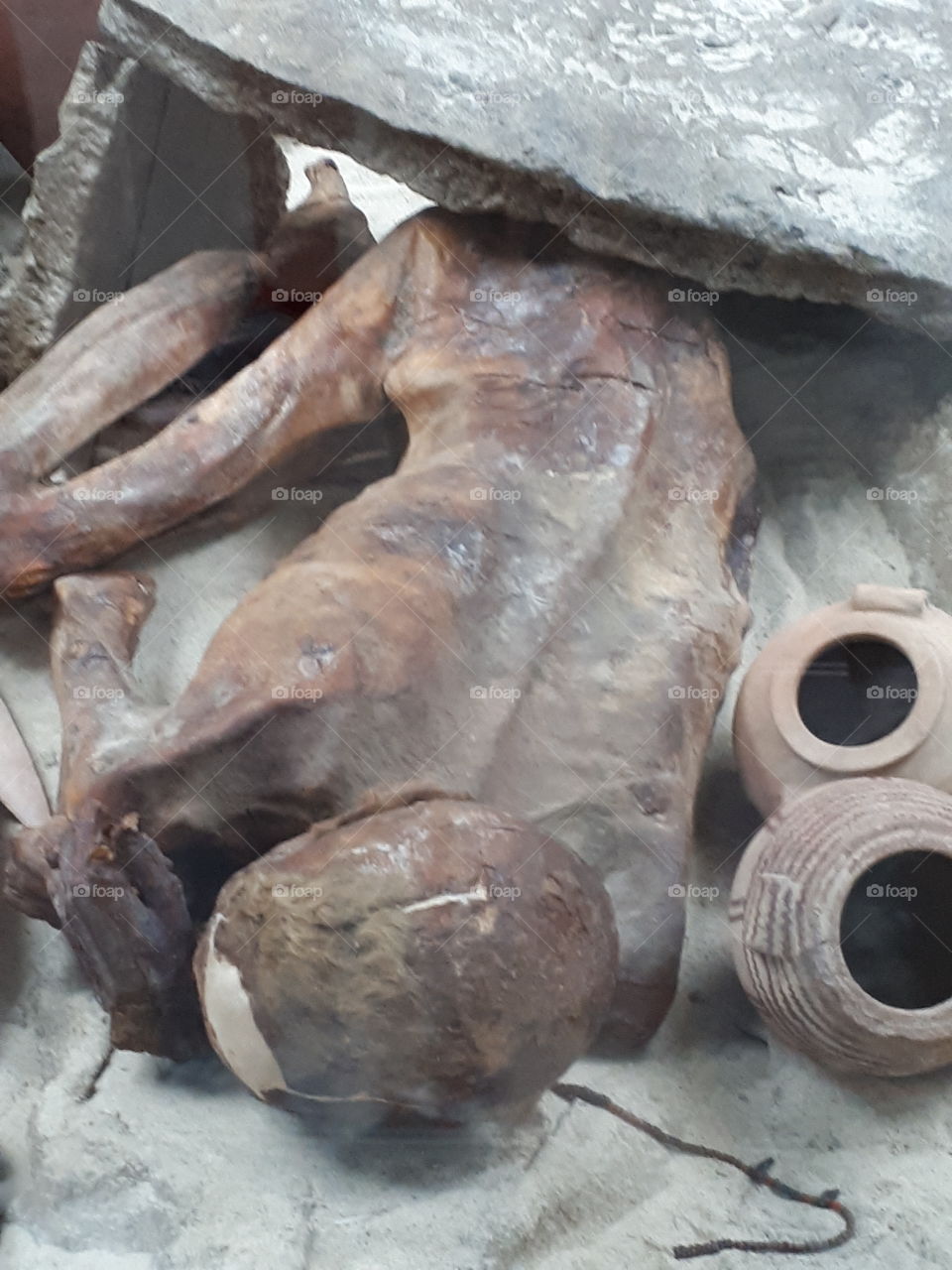 Mummified Body