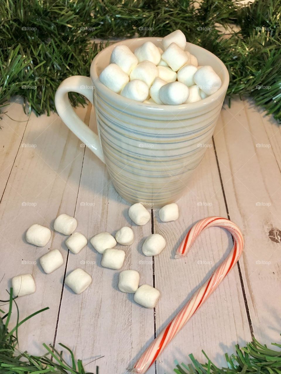 Hot Cocoa with Marshmallows 