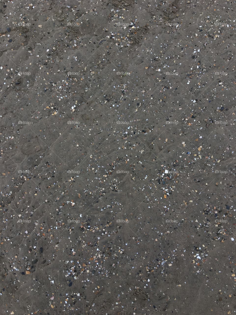 Shell sand 