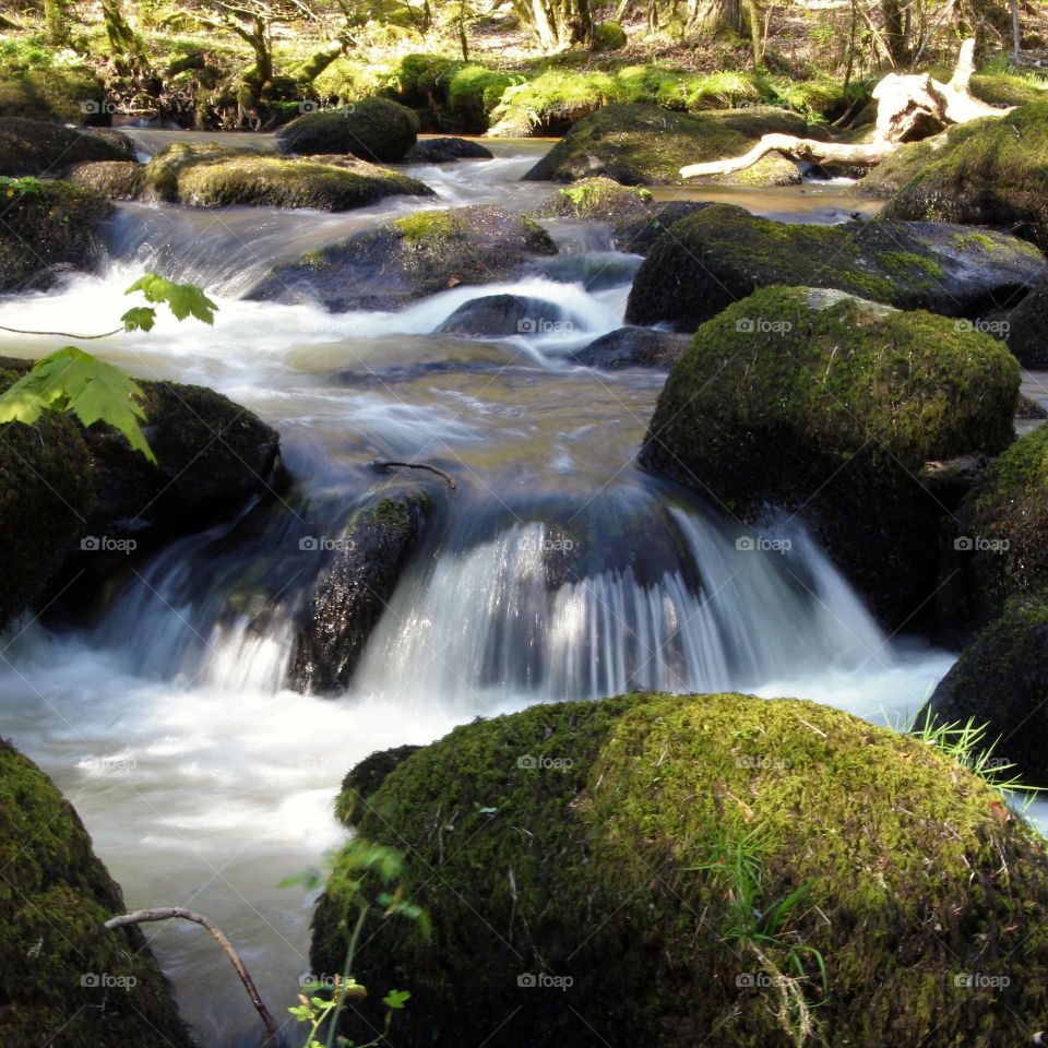 River Bovey