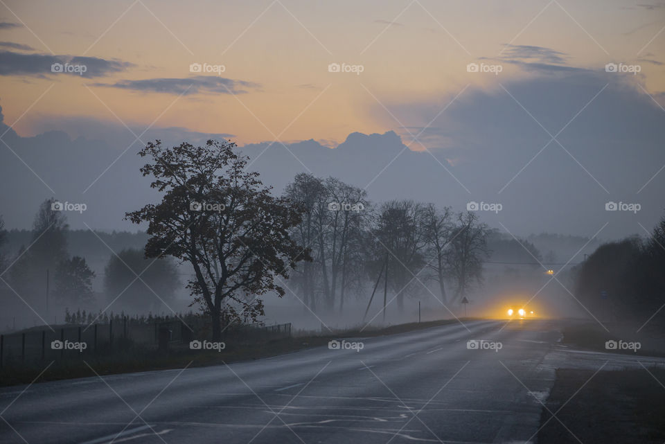 Magic misty night