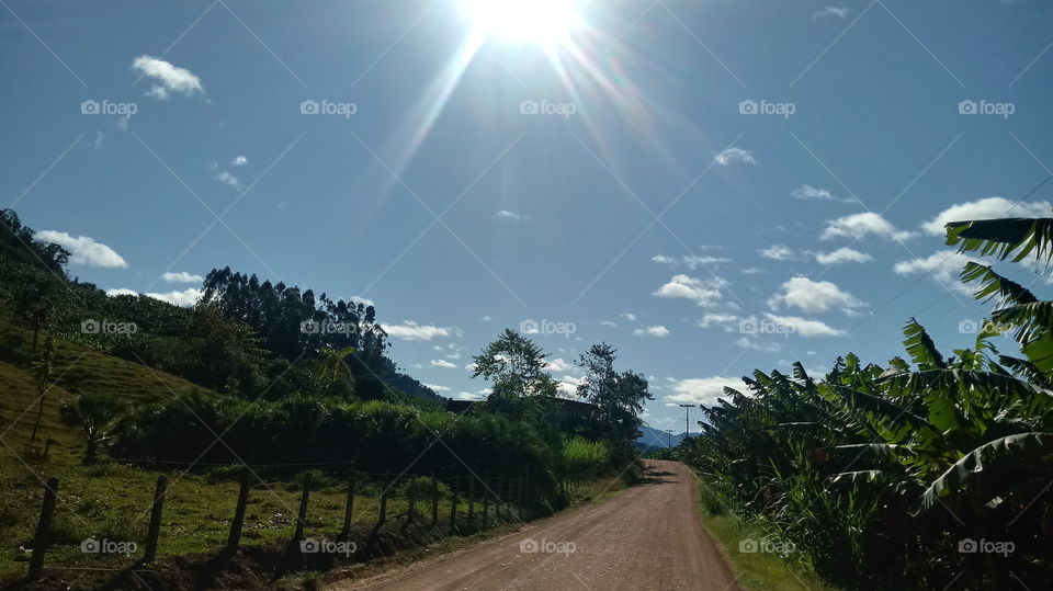 SUNBEAM heller Sonnenstrahl