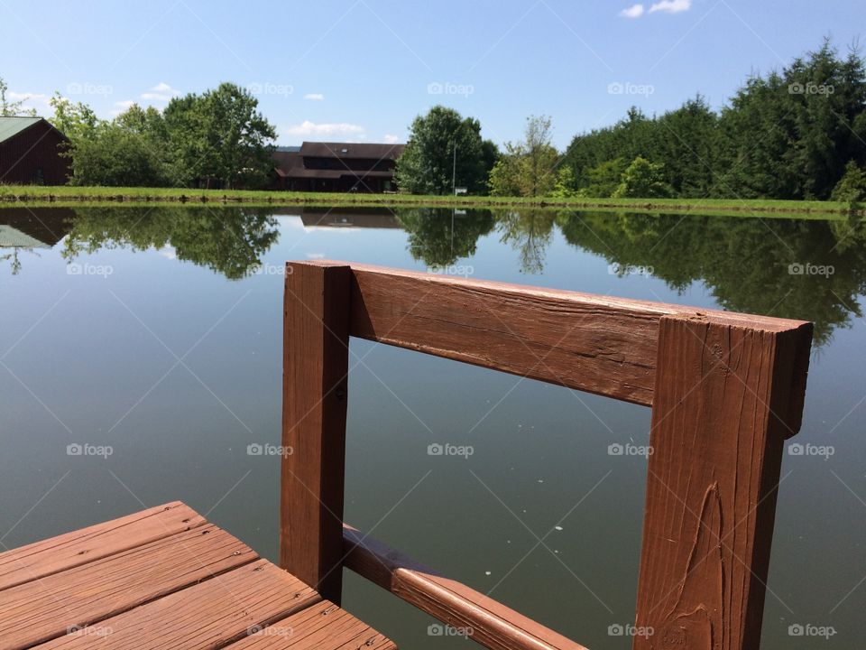 Pond in NY. The beautiful natural part of NY.